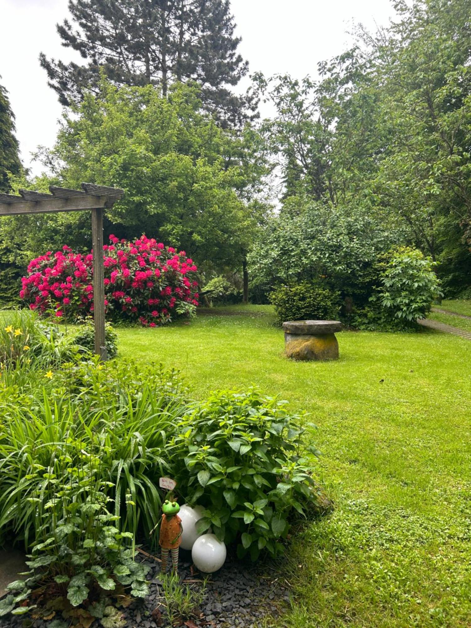 Ferienapartments Engeln Eifel Kempenich المظهر الخارجي الصورة