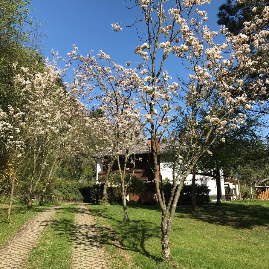 Ferienapartments Engeln Eifel Kempenich المظهر الخارجي الصورة